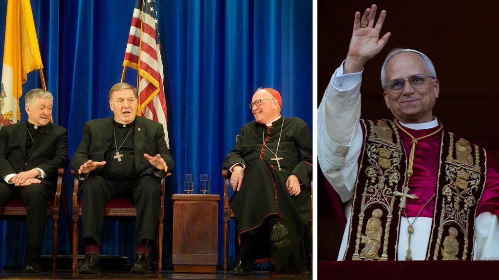 These are the US cardinals who will vote for the next pope – MySA