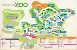 San Antonio Zoo nominated for USA Today’s 2025 10Best Readers’ Choice Awards – KSAT
