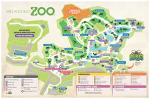 San Antonio Zoo voted one of the best zoos in U.S. by Newsweek readers – Spectrum News