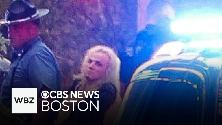 Woman Stabbed Multiple Times Inside Movie Theater, Attacker at Large – Newsweek