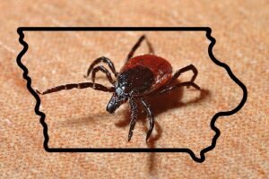 Map of soft tick collection location along Government Canyon Creek (red… – researchgate.net