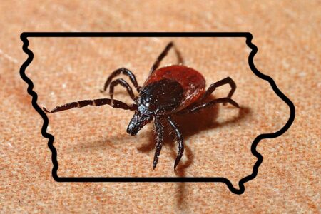 Map of soft tick collection location along Government Canyon Creek (red… – researchgate.net