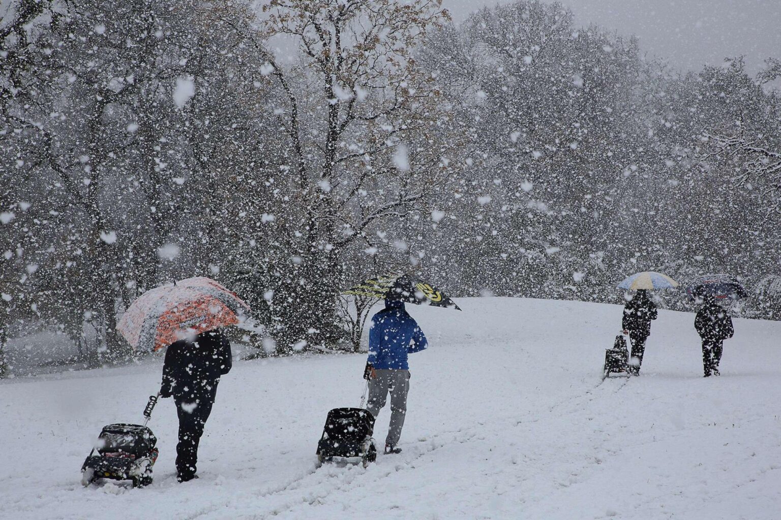 Snow headed to Texas in November? Here’s what one forecast says. – MySA