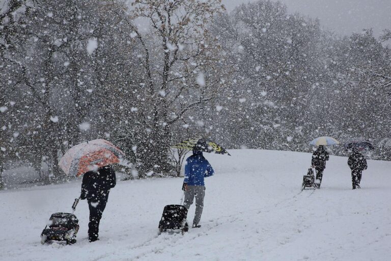 Snow headed to Texas in November? Here’s what one forecast says. – MySA