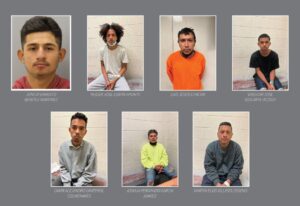 Migrants with criminal records among those being released in the US: ICE agent – New York Post