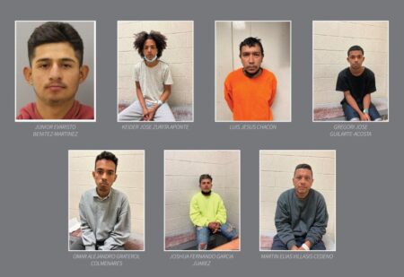 Migrants with criminal records among those being released in the US: ICE agent – New York Post