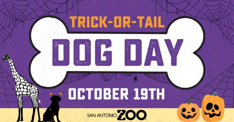 SHARE WITH US: San Antonio Zoo Dog Day at Zoo Lights – KABB