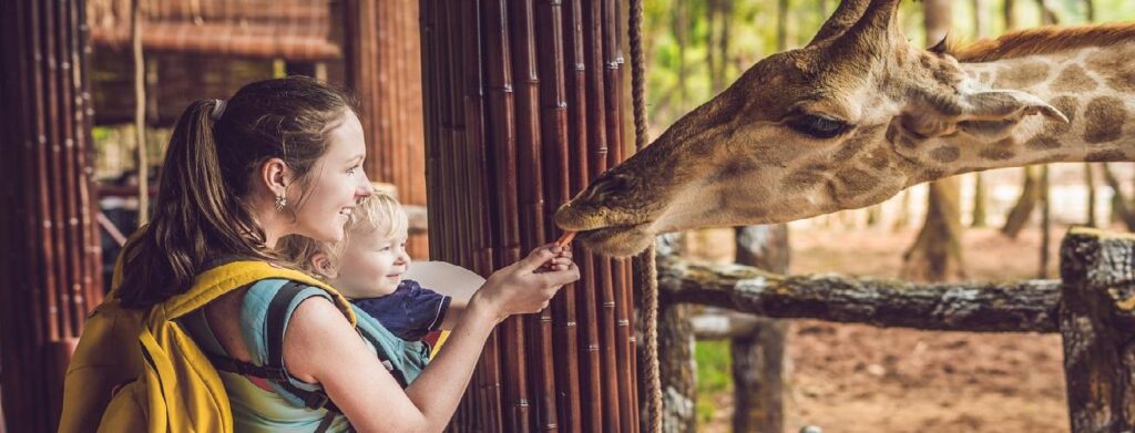 Discover the Ultimate Zoo Experience: A Must-Visit Destination! Best Zoo – Newsweek