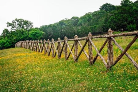 The Texas Hill Country town everyone’s discovering — fast – MySA