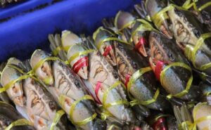 Smashin Crab flies live seafood in from across US to cook, serve to San Antonio | Neighborhood Eats – kens5.com