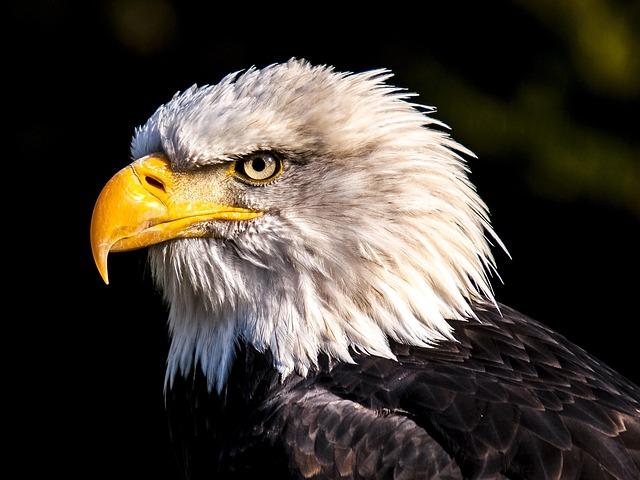 President Biden approves permit for new U.S.-Mexico trade crossing in Eagle Pass – The Business Journals