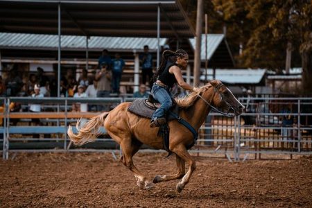 Which Rodeo Will Reign Supreme in 2026? What is the Best Rodeo for 2026? – USA TODAY 10BEST