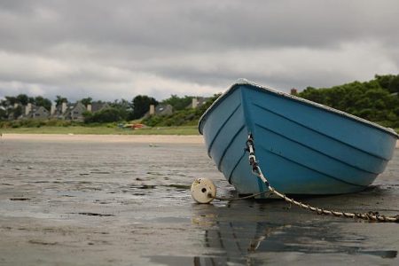 2026 U.S. House District 23 primary election candidate: an overview | Texas A&M University-San Antonio | TAMUSA – mesquite-news.com