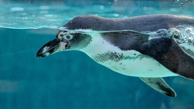 Explore the Magical Animal Crossing Aquarium Tour as It Travels Across the US This Year! Animal Crossing Aquarium Tour continues across the US this year – nintendo.com