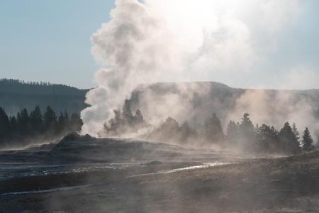 Essential Tips to Prepare for Your National Park Education Visit Before Your Education Visit – National Park Service (.gov)