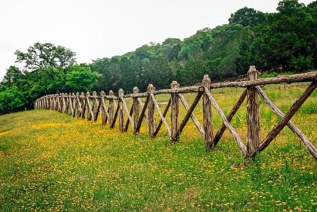 Discover Why These 2 Texas Towns Are Perfect for Your Next Staycation Report: These 2 Texas towns are among the best in the US for staycations – MySA