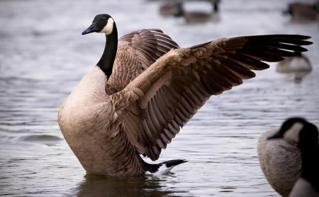 US Imposes Ban on $1 Billion of Canadian Imports, Impacting Motorcycles and Alcohol From motorcycles to booze, US ban on $1 billion worth of Canadian imports goes into effect – MySA