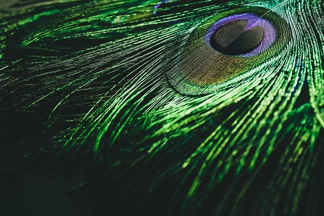New ‘Psych’ movie, ‘Brave New World’ among original shows on NBC’s Peacock – San Antonio Express-News New ‘Psych’ movie, ‘Brave New World’ among original shows on NBC’s Peacock – San Antonio Express-News